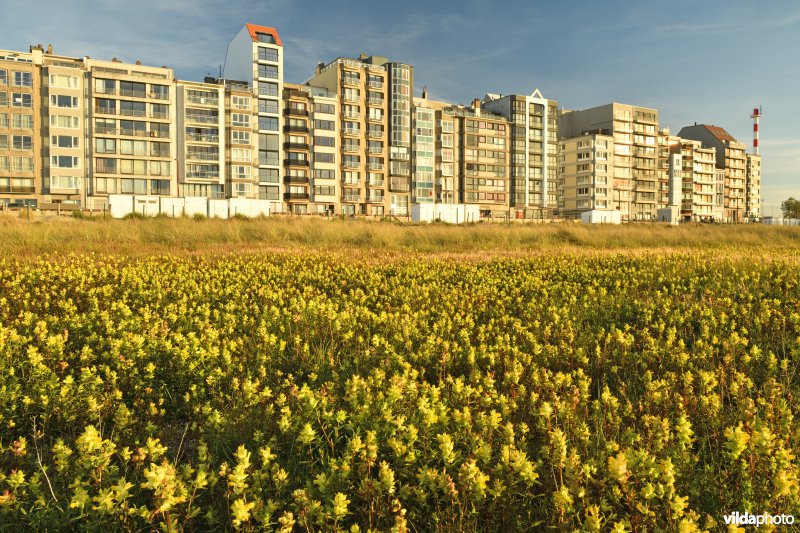 Natuurreservaat De Baai van Heist