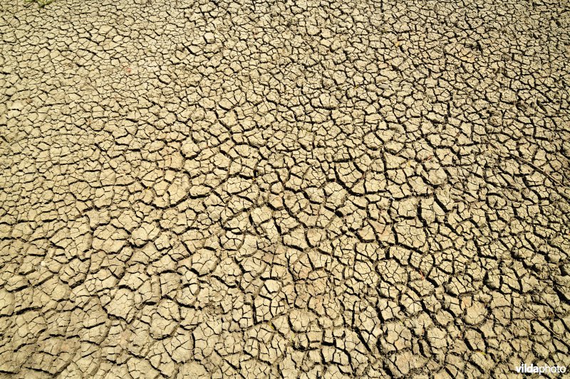 Opgedroogde grond