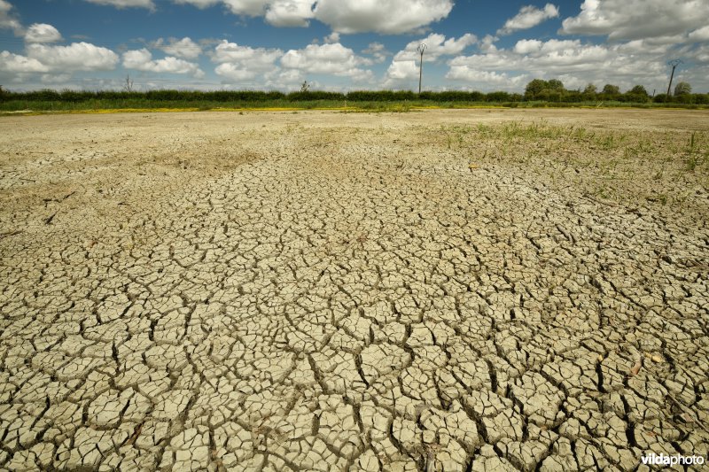 Opgedroogde grond