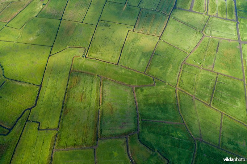 Polder Arkemheen