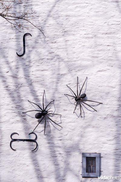 Spinnen als geveldecoratie