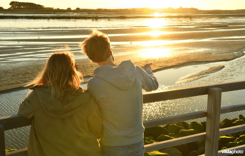 Uitkijkplatform in de Zwinsuitbreiding