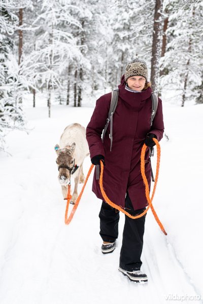 Wandelen met een rendier