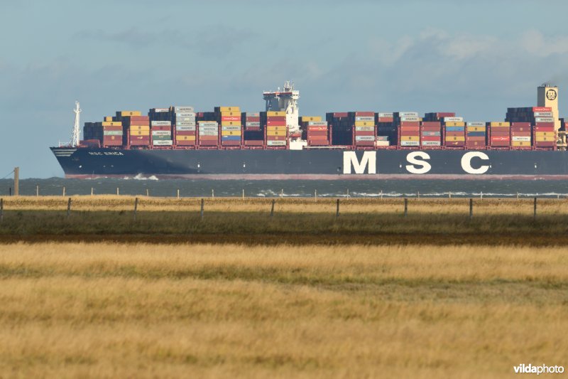 Containerschip voor het Zwin