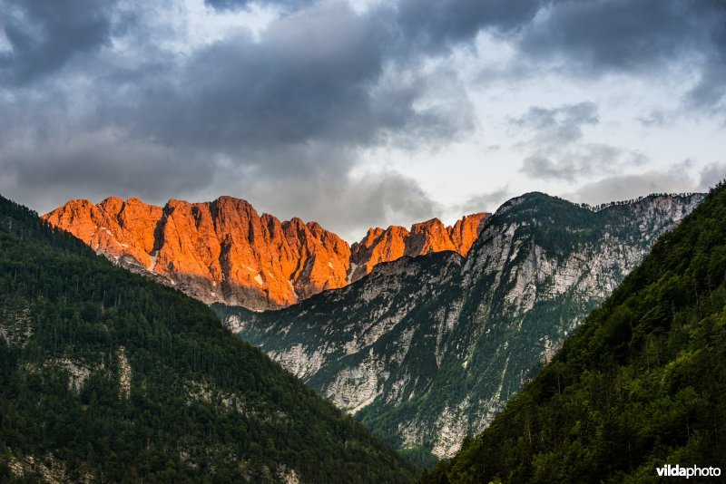 Avondlicht op alpentoppen