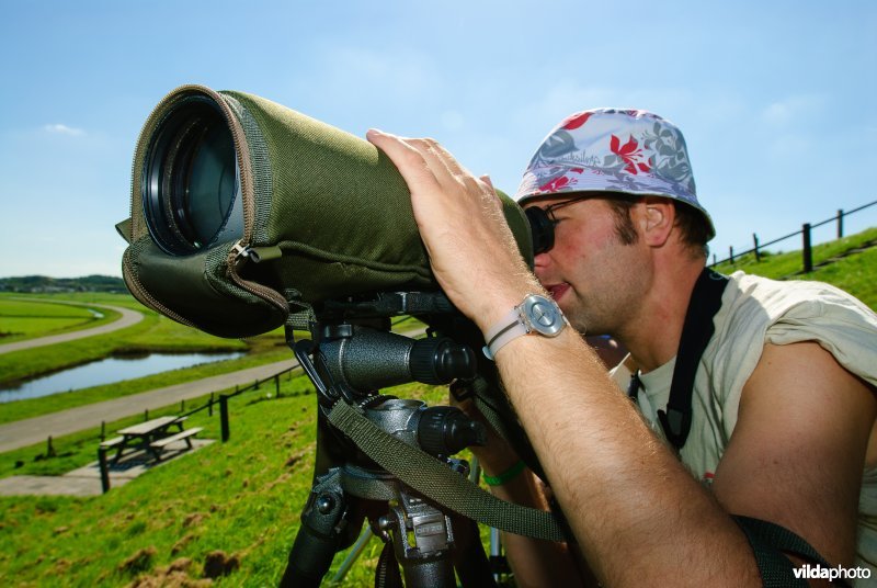 Vogels kijken vanaf een dijk bij De Petten