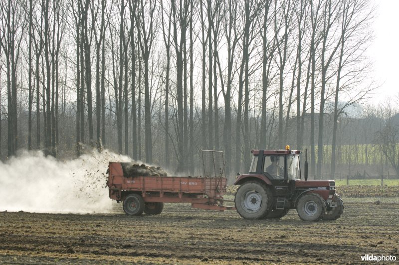 Uitrijden van stalmest