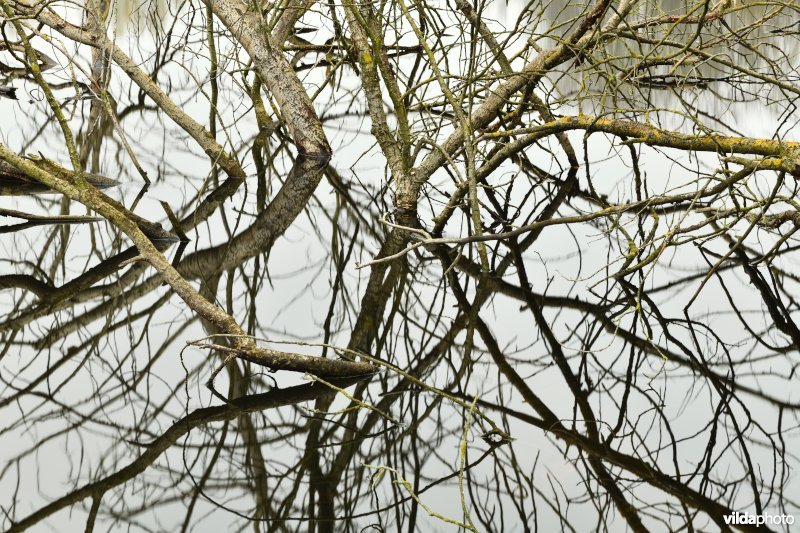 Wandelgebied Den Bunt