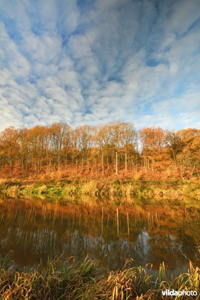 Voortberg aan de Demerbroeken in de herfst