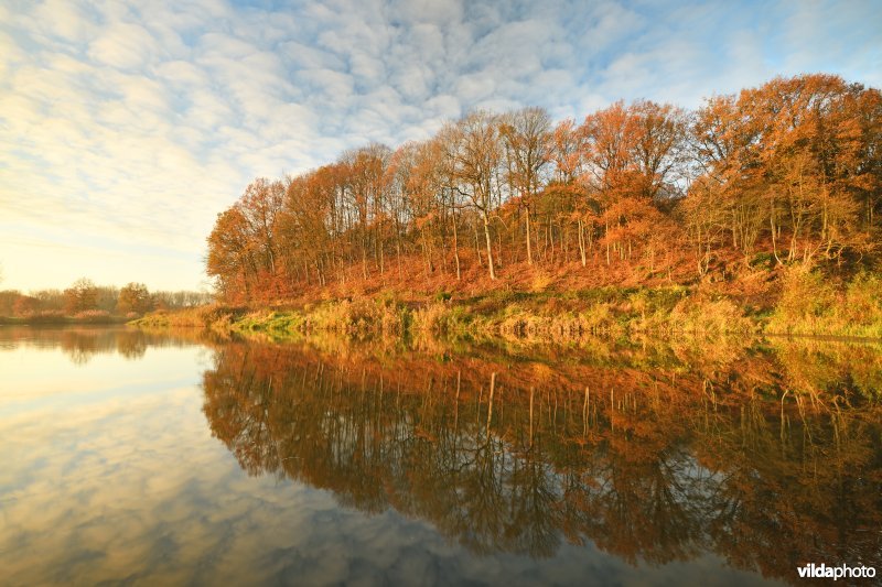 Voortberg aan de Demerbroeken in de herfst