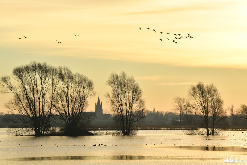 Overstroomde Westbroek en Reninge