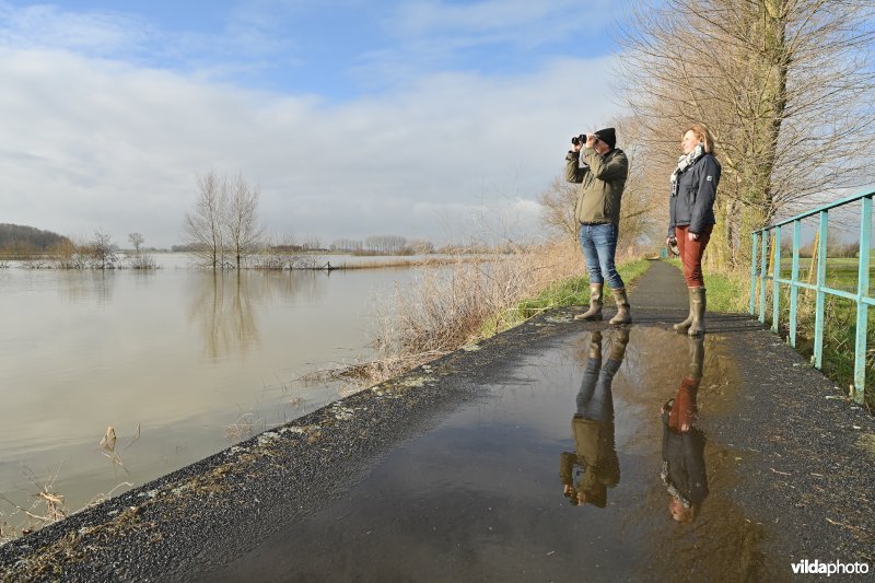 Overstroomde IJzervallei in Eversam