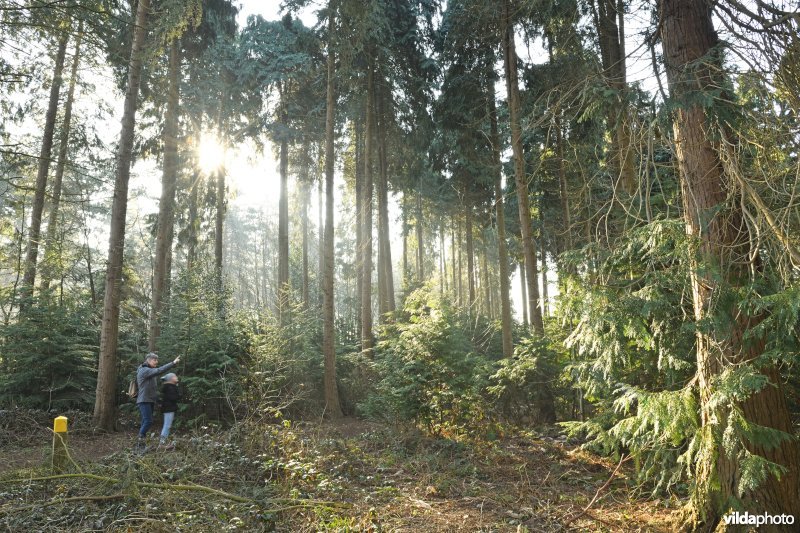 Arboretum van Koekelare