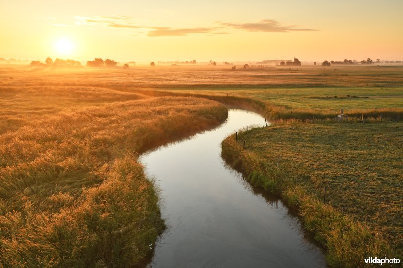 Komgronden van Lampernisse
