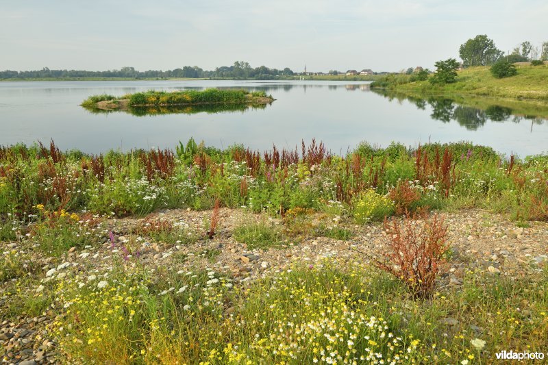 Negenoord-Kerkeweerd