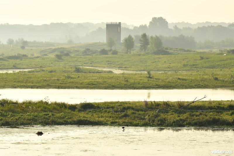 Natuurgebied Negenoord-Kerkeweerd