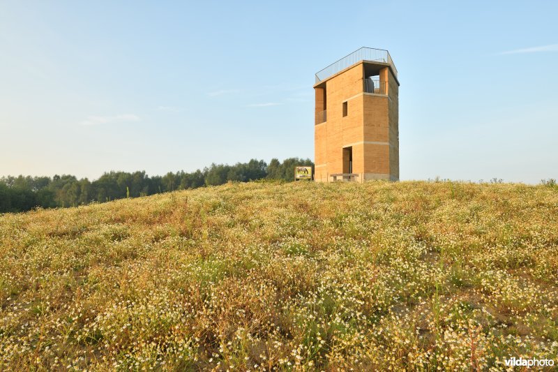 Natuurgebied Negenoord-Kerkeweerd