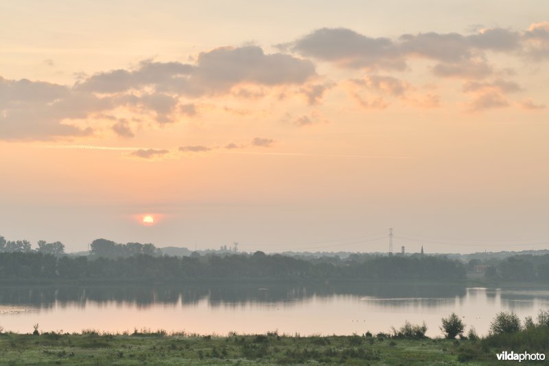 Natuurgebied Negenoord-Kerkeweerd
