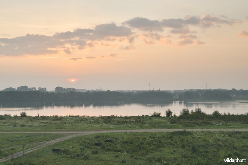 Natuurgebied Negenoord-Kerkeweerd