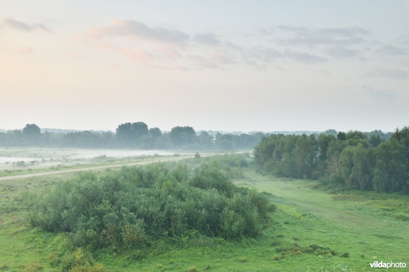 Natuurgebied Negenoord-Kerkeweerd