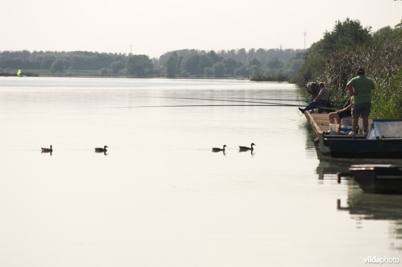 Vissers aan het Schulensmeer
