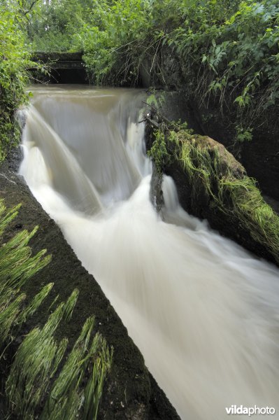 Het Demerbroek