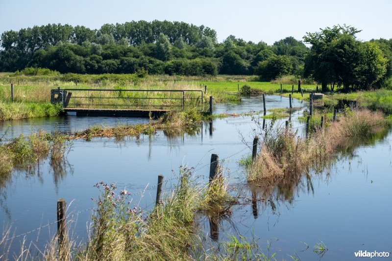 De Zwarte beek treedt buiten haar oevers