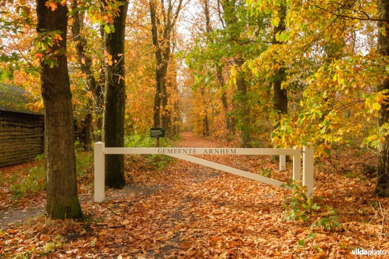 Kemperheide, Schaarsbergen