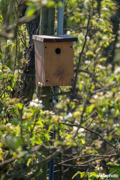 Vogelnestkast