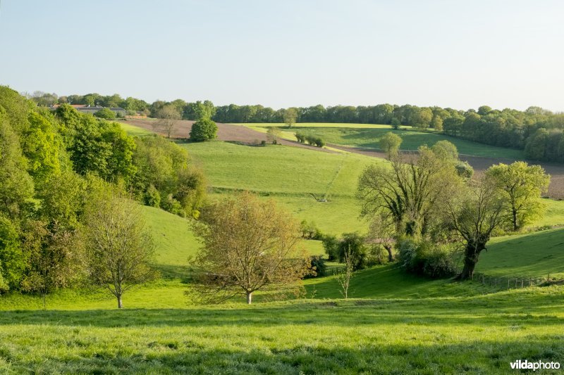 Landschap