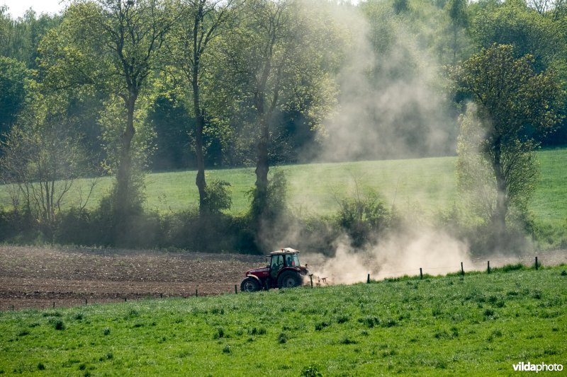 Stroopmakerij
