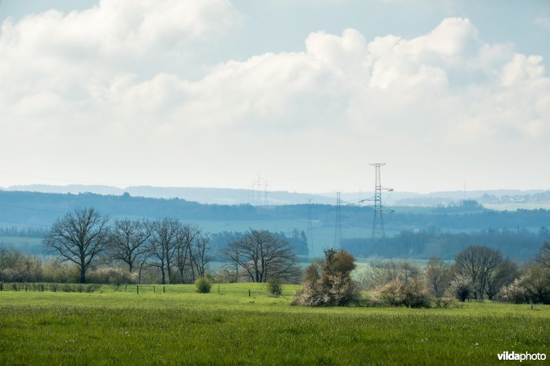 Gevarieerd landschap