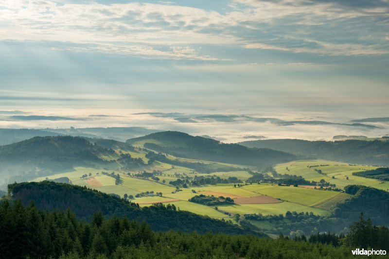 Landbouwlandschap