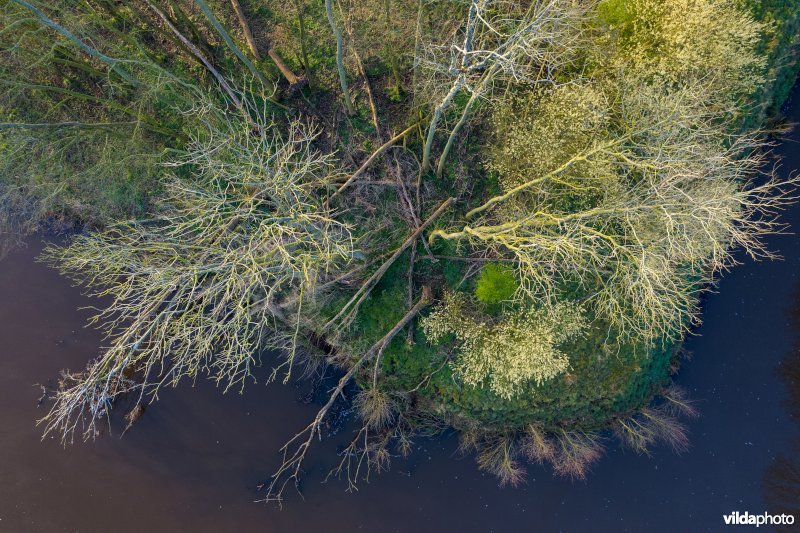 Dal van de Hunze, Drenthe, Nederland