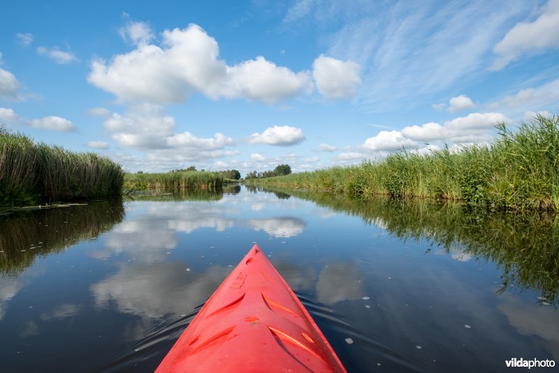 Kayakken in de Weerribben