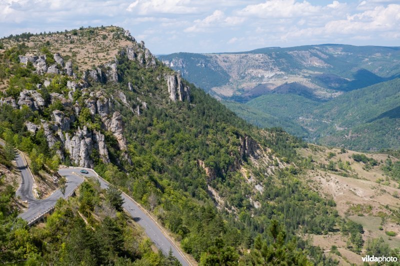 Gorges du Tarn