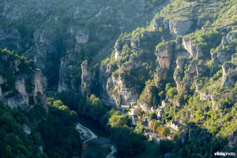 Gorges du Tarn