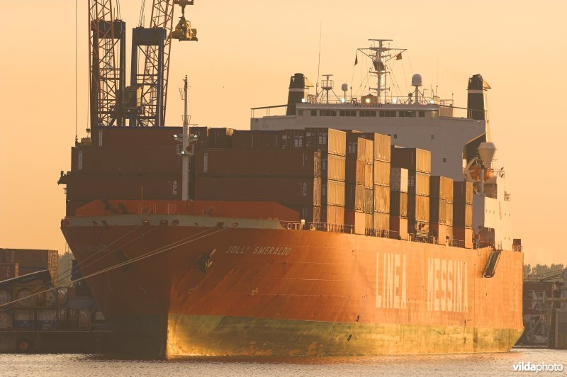 Vrachtschip in Deurganckdok