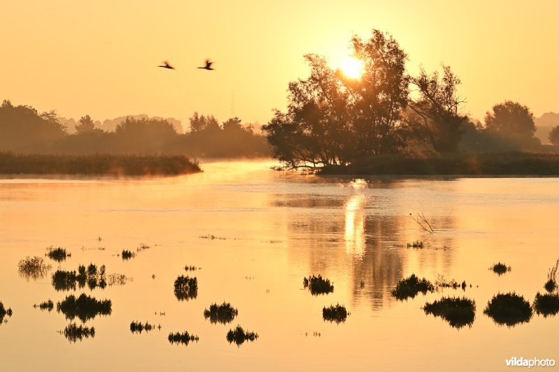 Groot Schoor in Hamme
