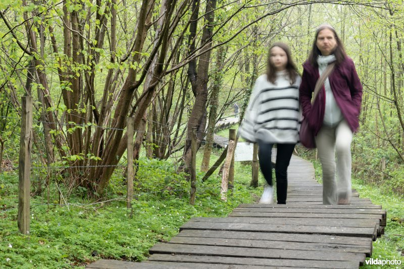 Wandelen in bos t'Ename