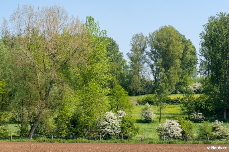 Kleinschalig landschap