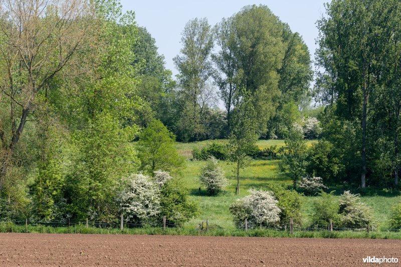 Kleinschalig landschap