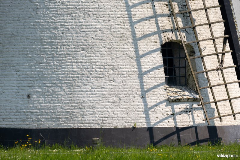 Molen Ter Rijst
