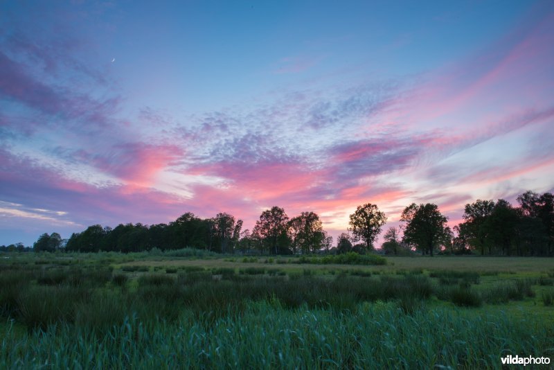 Empese en Tondense Heide