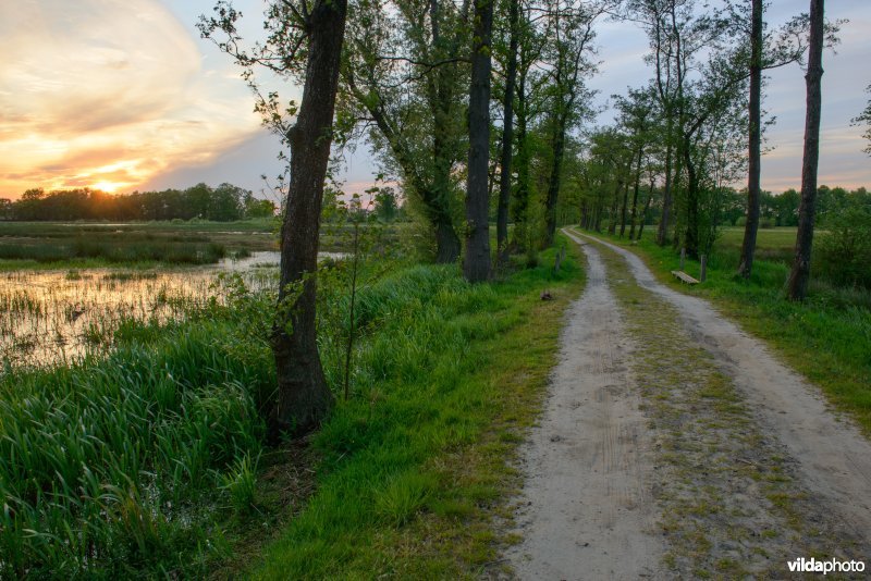 Empese en Tondense Heide