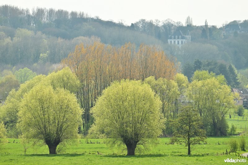 Dendervallei Schendelbeke
