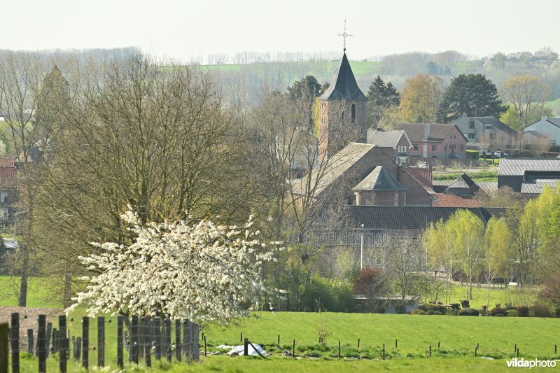 Schorisse