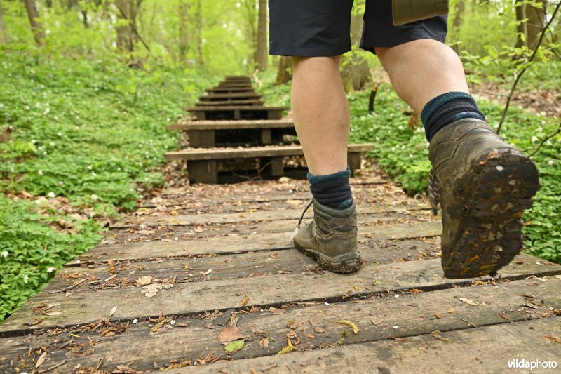 Wandelen in het Burreken