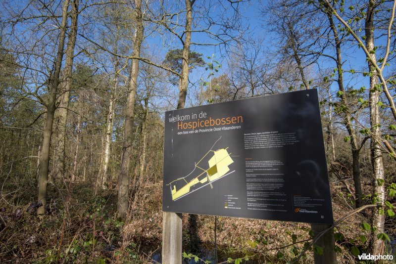 infobord in het provinciaal natuurdomein Hospicebossen