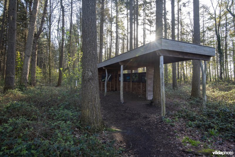 onthaalpunt met geboortemonument in het provinciaal natuurdomein Hospicebossen